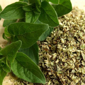 Lá kinh giới Oregano khô 50g