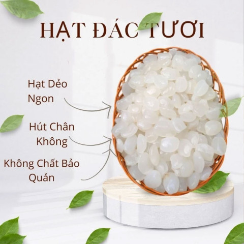 Hạt đác tươi size trung 1kg