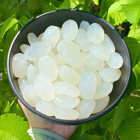 Hạt đác tươi size trung 1kg