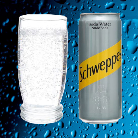 Nước soda Schweppes 320ml x 24
