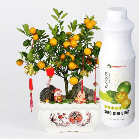 Sirô kim quất Wonderful Kumquat Sacs Syrup 1.3kg