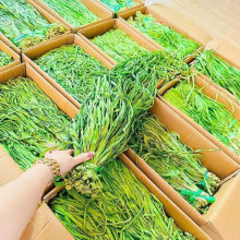 Rau Tiến Vua Khô 1KG