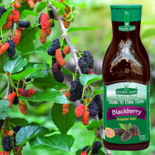 Sinh Tố Dâu Tằm Golden Farm 1L