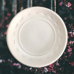 Dĩa nhựa xấp 50 cái