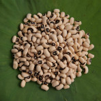 Đậu trắng hạt nhỏ