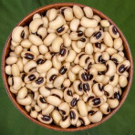 Đậu trắng hạt nhỏ