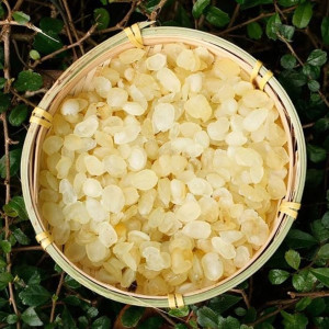 Hạt Bồ Mễ - Tuyết Liên Tử