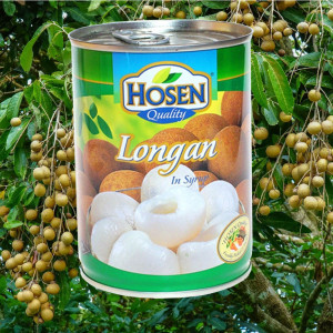 Nhãn Ngâm Siro Hosen Longan in Syrup 565g