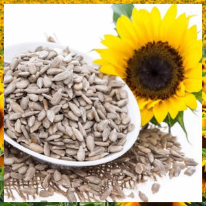 Hạt Hướng Dương Tách Vỏ Kingdeli