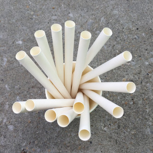 Ống hút trắng bi lớn