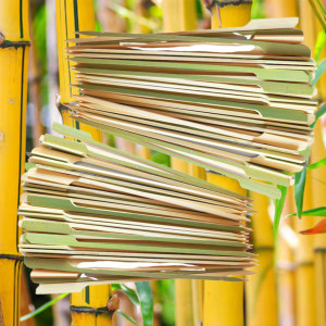 Xiên tre bản to TG 1018 gói 50 cây 18cm