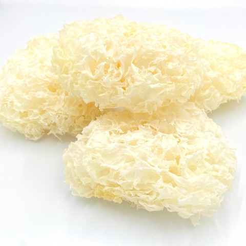 Nấm tuyết