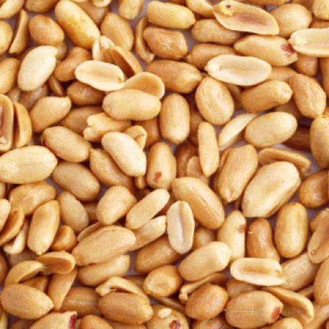0421_Đậu phụng rang gói 500g