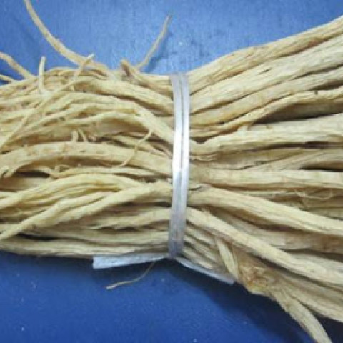 Lộ đảng sâm (bạch lộ đảng)