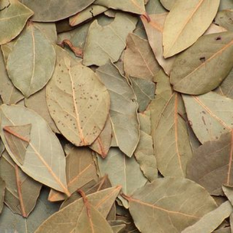 Lá bay - Lá nguyệt quế Bay Leaves 500g