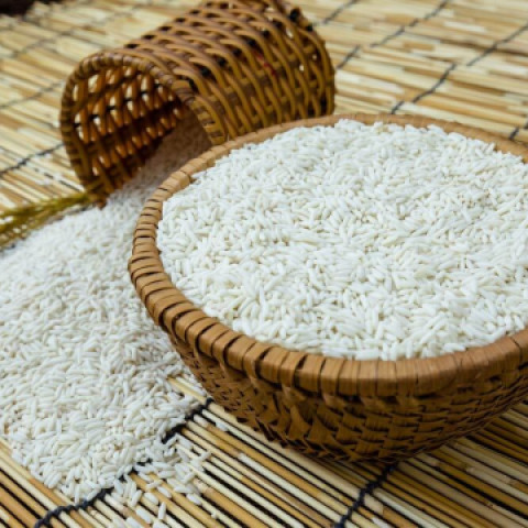 Nếp ngỗng