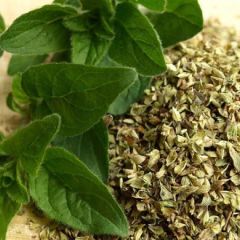 Lá kinh giới Oregano khô 50g