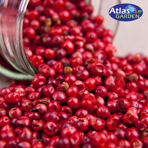 Hạt Tiêu Hồng Atlas Pink Peppercorn 90gr