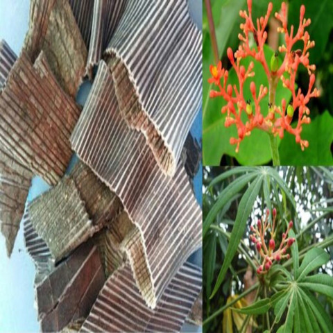 Đỗ trọng
