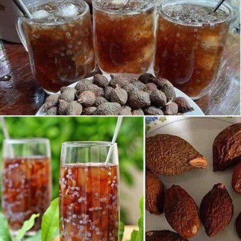 Hạt đười ươi