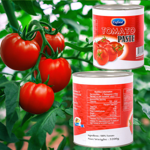 Cà chua xay nhuyễn EuFood Tomato Paste 3.2kg