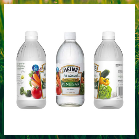 Giấm Trắng Heinz 473ml