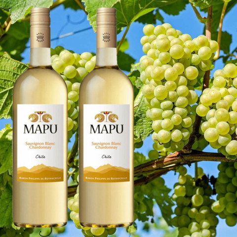 Rượu vang trắng Mapu Sauvignon Blanc