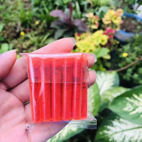 Màu gạch tôm lốc 100 ống 5gr