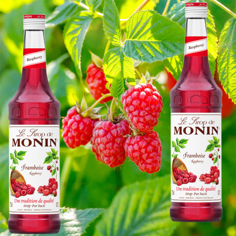 Sirô phúc bồn tử Monin Raspberry Syrup 700ml