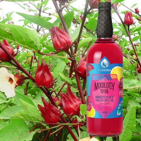 Sirô Hoa Bụp Giấm Pomona Hibiscus Syrup 1 lít