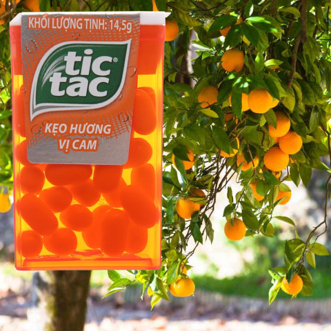 Kẹo hương cam Tic Tac 14.5gr