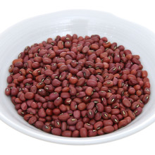 Đậu đỏ hạt nhỏ