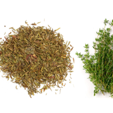 Xạ hương sấy khô Dried Thyme
