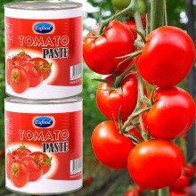 Cà chua xay nhuyễn EuFood Tomato Paste 3.2kg