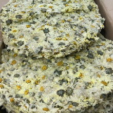 Hoa Cúc Trắng Sấy Khô Dạng Bánh