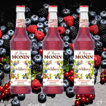 Siro Dâu Rừng Monin Wildberry 700ml