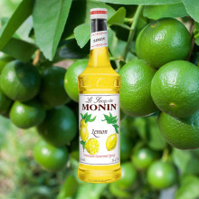 Siro Chanh Monin Lemon Syrup 700ml