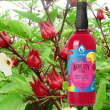 Sirô Hoa Bụp Giấm Pomona Hibiscus Syrup 1 lít