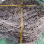 Bánh tráng mè đen xấp 50 cái