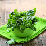 Lá Húng Tây Thyme  Leaves Khô